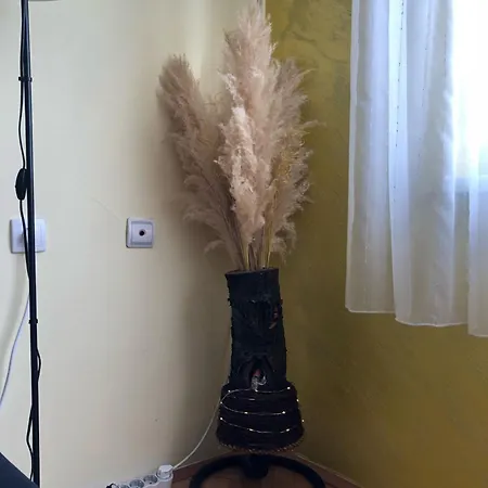 Anni